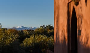 thumbnail: Garden view