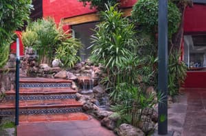 thumbnail: Garden