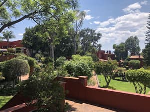thumbnail: Garden view
