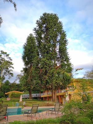 thumbnail: General view