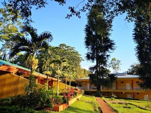 thumbnail: General view