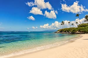 thumbnail: Beach