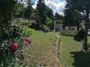 thumbnail: Garden