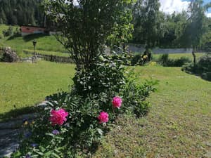 thumbnail: Garden