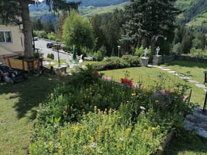 thumbnail: Garden