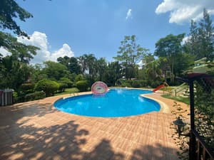 thumbnail: Pool