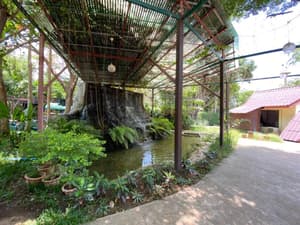 thumbnail: General view