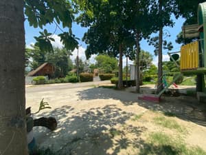 thumbnail: General view