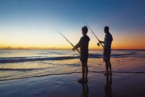 thumbnail: Beach