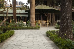 thumbnail: Garden
