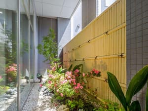thumbnail: General view