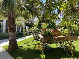 thumbnail: Garden