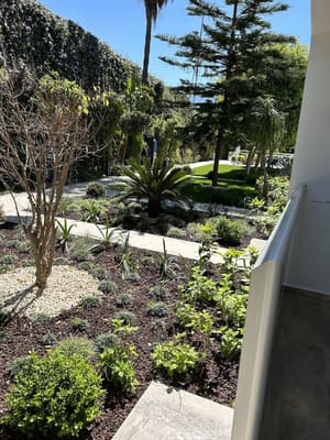 thumbnail: Garden view