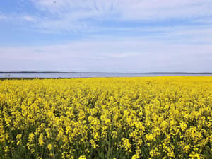 thumbnail: View from property