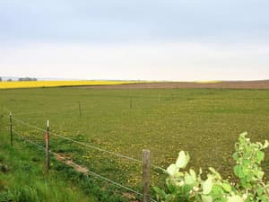 thumbnail: View from property