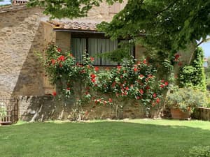 thumbnail: Garden