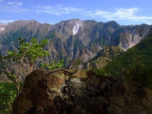 thumbnail: Interior detail