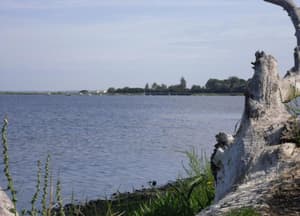 thumbnail: View from property