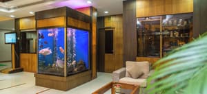 thumbnail: Interior entrance