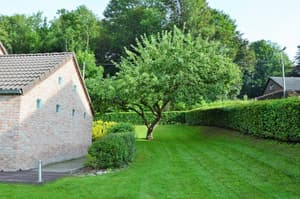 thumbnail: Garden