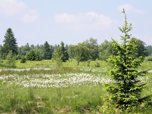 thumbnail: View from property