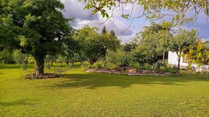 thumbnail: Garden