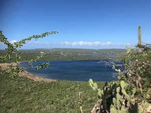 thumbnail: View from property