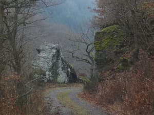 thumbnail: View from property