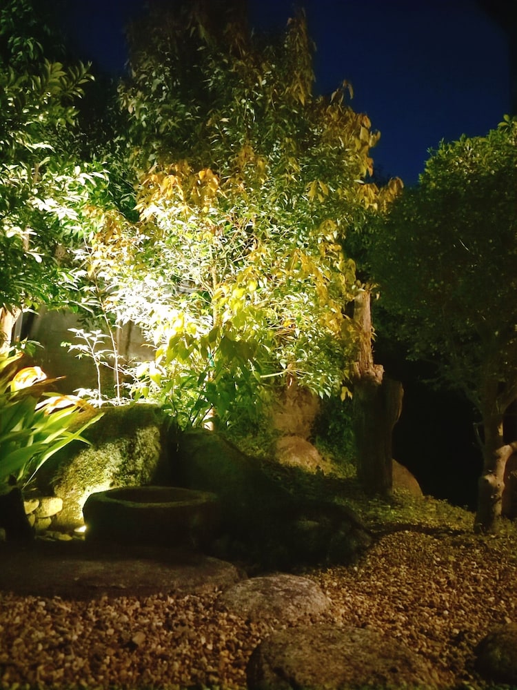 Japanese garden