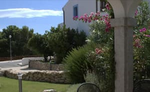 thumbnail: Garden view