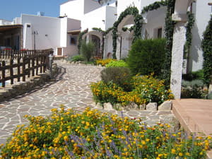 thumbnail: Garden