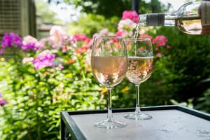 thumbnail: Terrace/patio