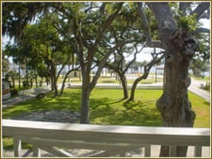 thumbnail: General view