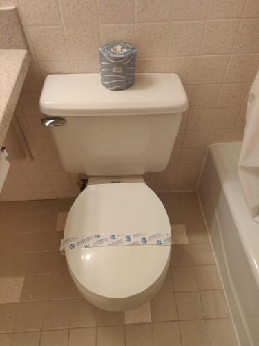 355626785.jpg