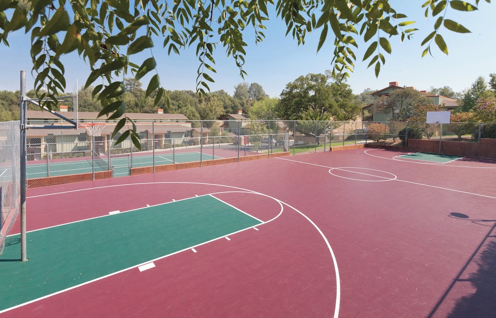 Basketball court