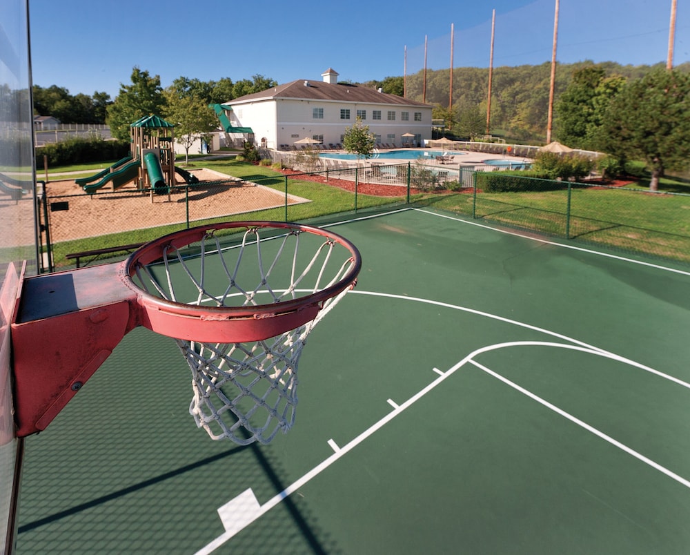 Basketball court