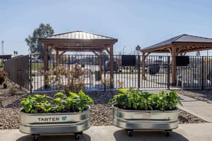 thumbnail: Property amenity
