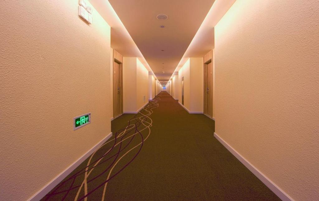 50755620_240219160800137459737.jpg
