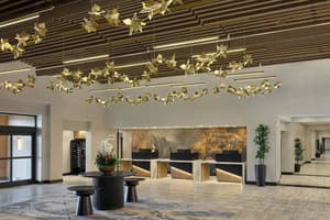 thumbnail: Reception