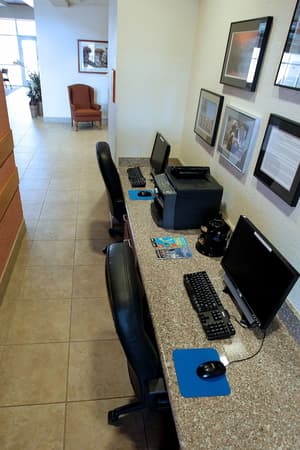 thumbnail: Interior