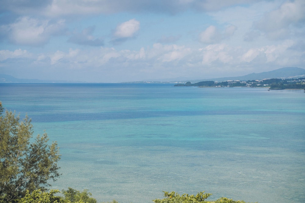 Beach/ocean view