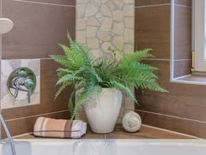 thumbnail: Interior detail
