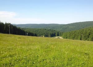 thumbnail: View from property