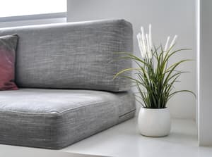 thumbnail: Living room