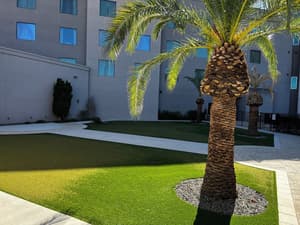 thumbnail: Garden
