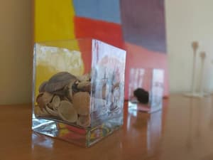 thumbnail: 227108308.jpg