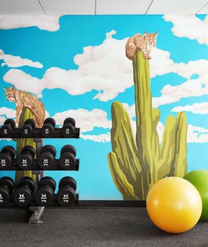 thumbnail: Fitness facility