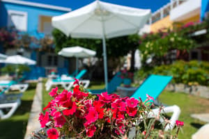 thumbnail: Garden