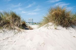 thumbnail: Beach