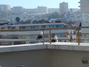 thumbnail: Terrace/patio
